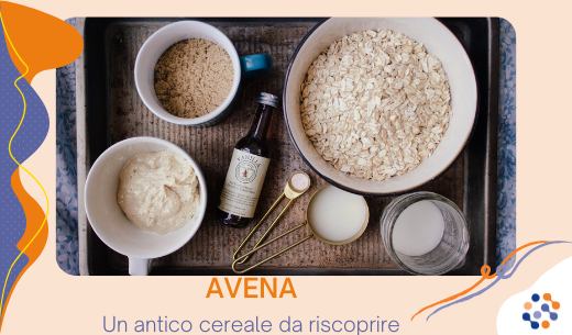 Avena: un cereale da riscoprire